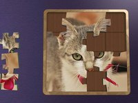 Super Jigsaws Kittens screenshot, image №1955012 - RAWG