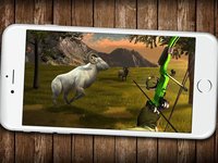 USA Archery FPS Hunting Simulator: Wild Animals Hunter & Archery Sport Game screenshot, image №979581 - RAWG