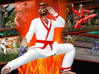 Karate Fighting Art - Kung Fu Ninja Tiger actions screenshot, image №926643 - RAWG
