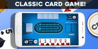 Cribbage - Offline screenshot, image №1412419 - RAWG