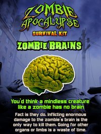 Zombie Apocalypse Survival Kit screenshot, image №941141 - RAWG