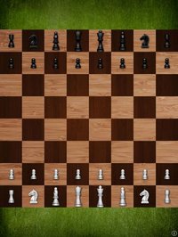 Mr Chess Pro screenshot, image №1747193 - RAWG