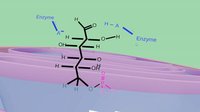 Glycolysis pathway screenshot, image №2298629 - RAWG