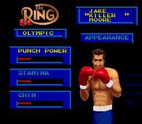 Boxing Legends of the Ring screenshot, image №758591 - RAWG