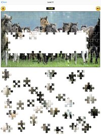 Puzzle Collection: Animals screenshot, image №1338218 - RAWG