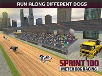 Sprint 100 Meter Dog Racing: Race Dogs On Tracks screenshot, image №1780159 - RAWG