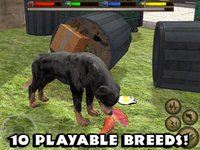 Ultimate Dog Simulator screenshot, image №1968090 - RAWG