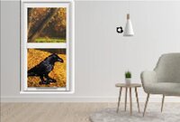 Life is sad but its okay because there are birds. screenshot, image №3222436 - RAWG
