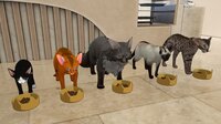 Cat Home screenshot, image №4289741 - RAWG