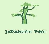 Japanese Pine screenshot, image №3251031 - RAWG