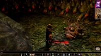 Neverwinter Nights: Enhanced Edition screenshot, image №704340 - RAWG
