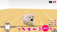 The Dog: Happy Life screenshot, image №2096488 - RAWG