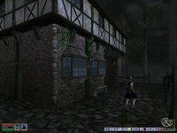 The Elder Scrolls III: Morrowind screenshot, image №290035 - RAWG