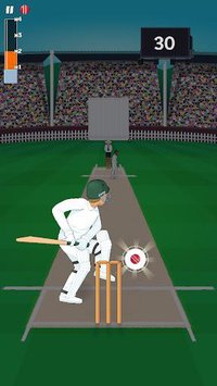 Mighty Cricket screenshot, image №1396370 - RAWG