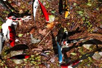 Koi Garden screenshot, image №4016524 - RAWG