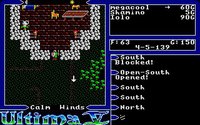 Ultima V: Warriors of Destiny screenshot, image №738485 - RAWG