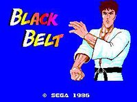 Black Belt (Proto for GameCodeur) screenshot, image №1714797 - RAWG