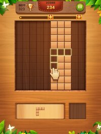 Block Puzzle: Wood Brain Games screenshot, image №2841101 - RAWG