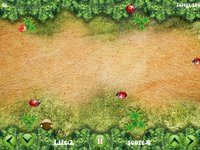Hungry Monkey Challenge screenshot, image №1334689 - RAWG