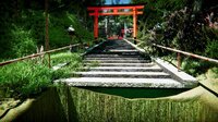 YaeiJinja screenshot, image №4242206 - RAWG