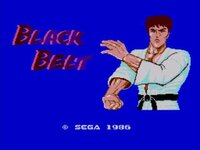 Black Belt screenshot, image №3492616 - RAWG