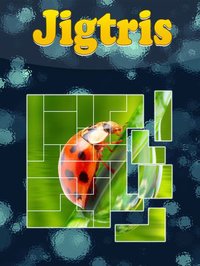 Jigtris Puzzle screenshot, image №1650263 - RAWG