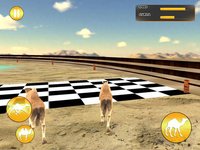 Desert King Camel Race screenshot, image №1989849 - RAWG