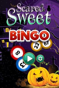 Bingo Quest: Halloween Holiday Fever screenshot, image №1360558 - RAWG