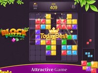 Block Puzzle - Fun Games screenshot, image №3904242 - RAWG