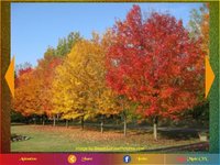 Picture Animation Pro screenshot, image №1699758 - RAWG