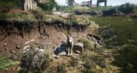 Elleros Origins: Wytchsun screenshot, image №1899049 - RAWG