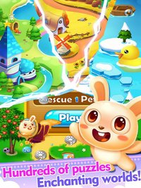 Tatty Pet Bubble - Fantasy Ball screenshot, image №1977680 - RAWG