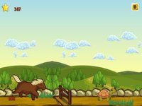 A Baby Horse Run - Jumping Horses Race Games screenshot, image №1983930 - RAWG