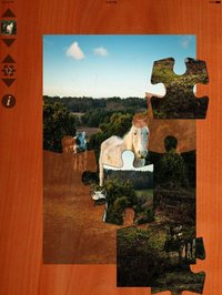 Pony Puzzles screenshot, image №948572 - RAWG