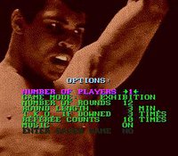 Muhammad Ali Heavyweight Boxing screenshot, image №751671 - RAWG