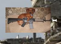 3 - Doggo screenshot, image №2118809 - RAWG
