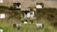 Puzzle Art: Artiodactyls screenshot, image №3076680 - RAWG