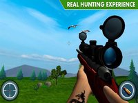 Shot Bird Hunting Experiennce screenshot, image №1843028 - RAWG