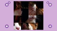 CAT GAME🐱 screenshot, image №3435660 - RAWG