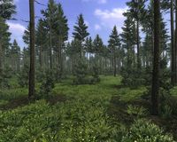 Steel Fury: Fall Blau screenshot, image №497407 - RAWG