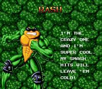 Battletoads & Double Dragon screenshot, image №734767 - RAWG