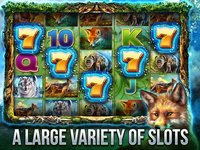 Cats Slot Machines screenshot, image №1343150 - RAWG