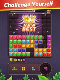 Block Puzzle Gem screenshot, image №3197016 - RAWG