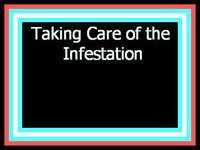 Taking Care of the Infestation screenshot, image №2501493 - RAWG