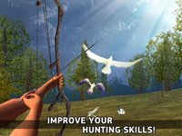 Bowman Simulator: Birds Hunting Master screenshot, image №1763687 - RAWG