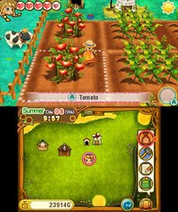 Story of Seasons: Trio of Towns screenshot, image №779781 - RAWG