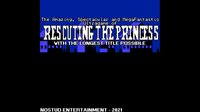 The Amazing, Spectacular and MegaFantastic Ultragame of rescuing the Princess with the Longest Title possible screenshot, image №2948133 - RAWG