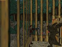 Tomb Raider 2: Golden Mask screenshot, image №346208 - RAWG