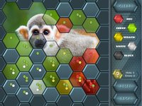 HexLogic - Zoo screenshot, image №1336164 - RAWG