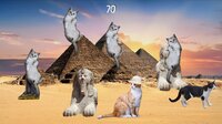 Cat Clicker screenshot, image №3123782 - RAWG